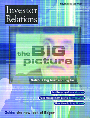 IR Magazine November 2001: The big picture