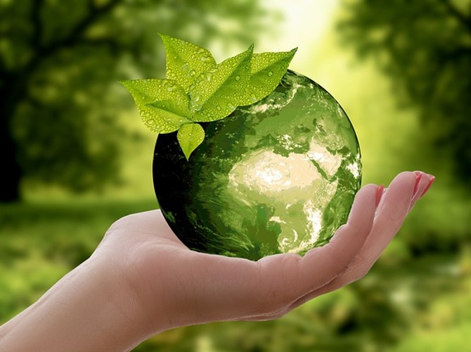 Greenwashing: How to avoid it 