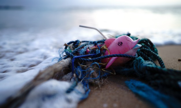 Plastic waste on beach