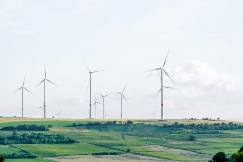 The green transition. Photo: Karsten Wurth via Unsplash