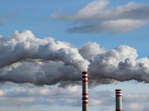 Climate goals reported across multiple corporate sources, study finds